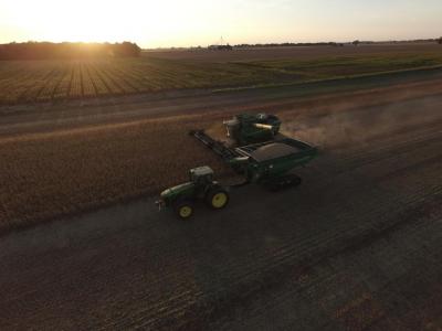 Soybean Harvest