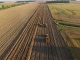 Seed Corn Harvest