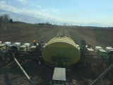 Seed Corn Planting