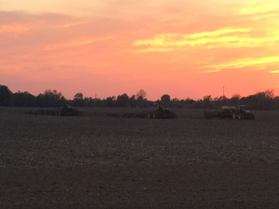 Soybean Planting